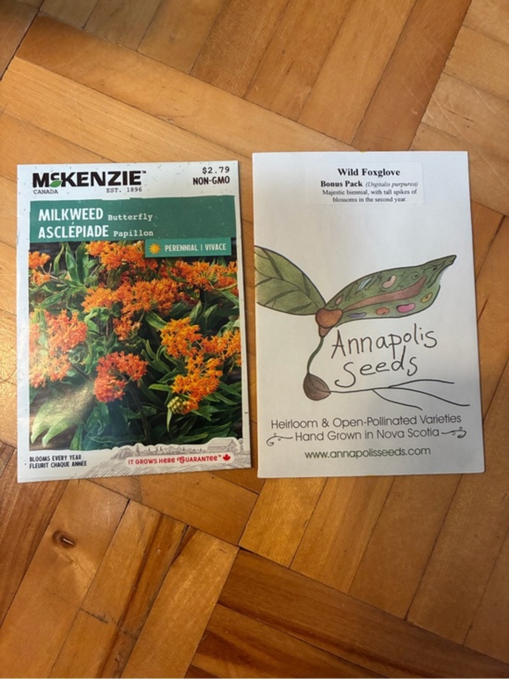 McKenzie Milkweed Butterfly Seeds - Orange Flowers